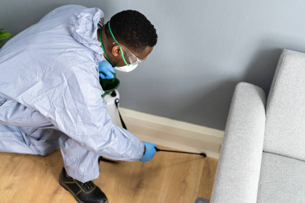 Best Commercial Pest Control  in Indian Rocks Beach, FL